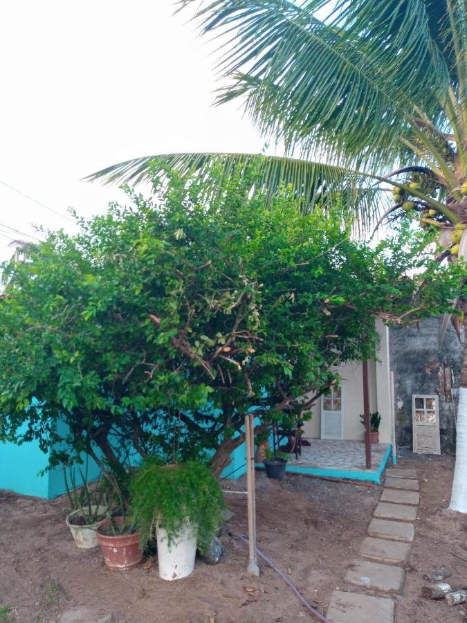 Zen Villas - Chales, Bem-Estar E Conexao Com A Natureza لورو دي فريتاس المظهر الخارجي الصورة