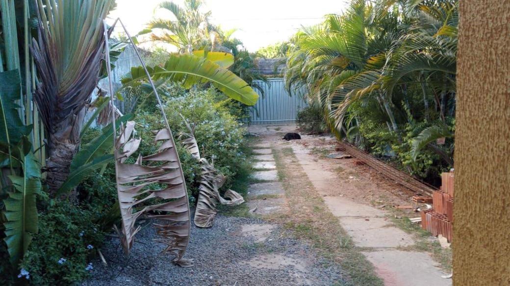 Zen Villas - Chales, Bem-Estar E Conexao Com A Natureza لورو دي فريتاس المظهر الخارجي الصورة