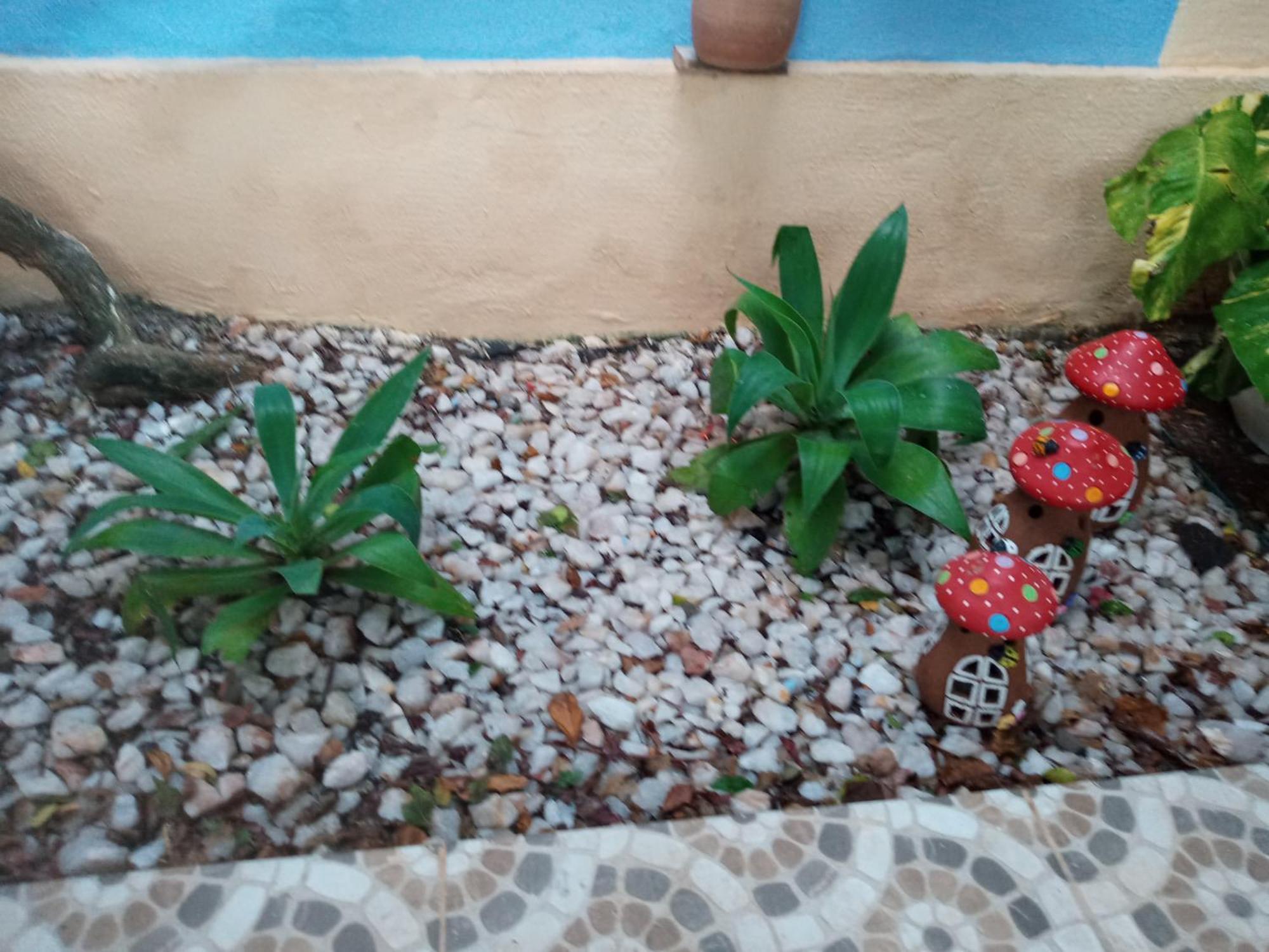 Zen Villas - Chales, Bem-Estar E Conexao Com A Natureza لورو دي فريتاس المظهر الخارجي الصورة