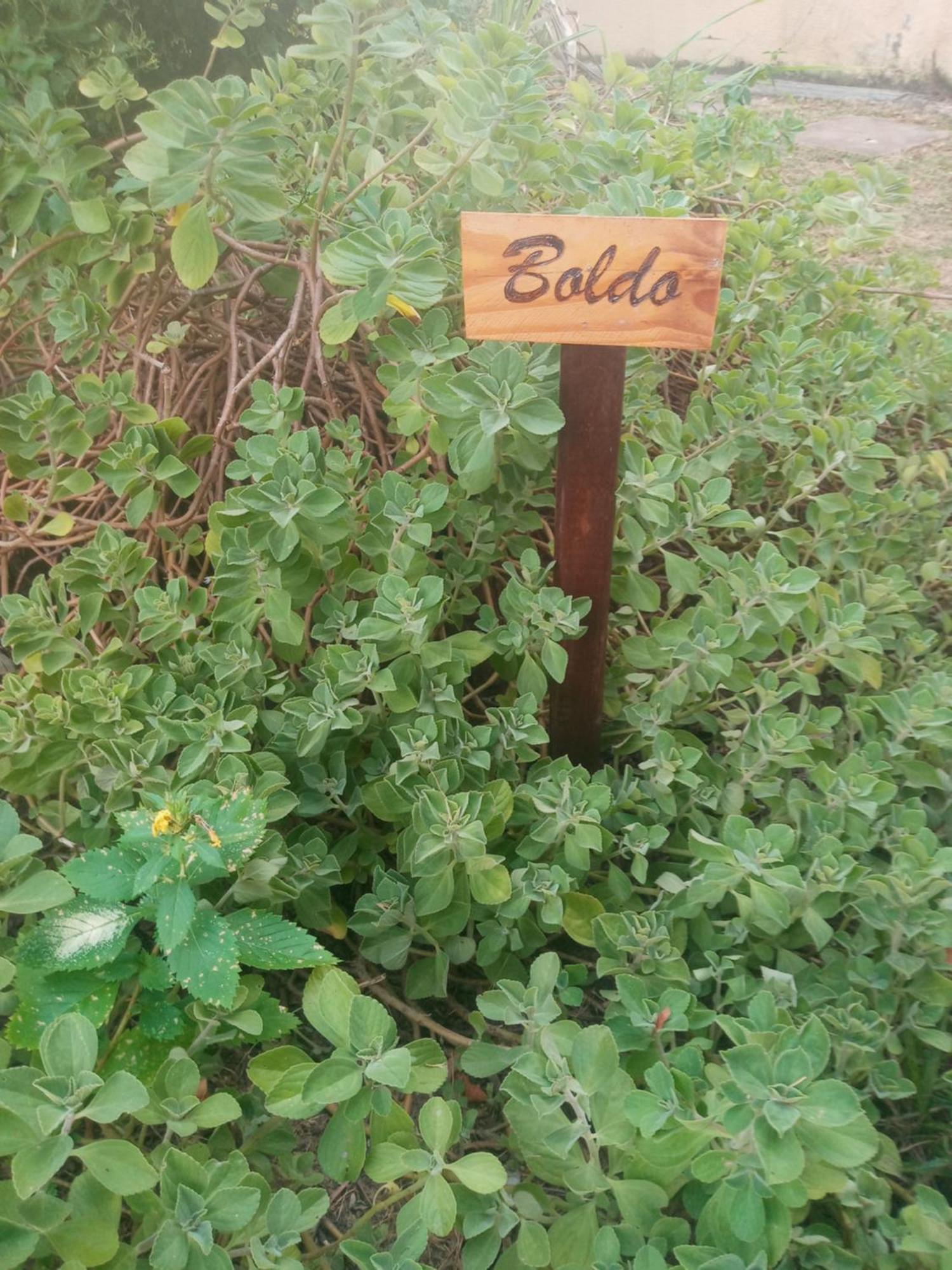 Zen Villas - Chales, Bem-Estar E Conexao Com A Natureza لورو دي فريتاس المظهر الخارجي الصورة
