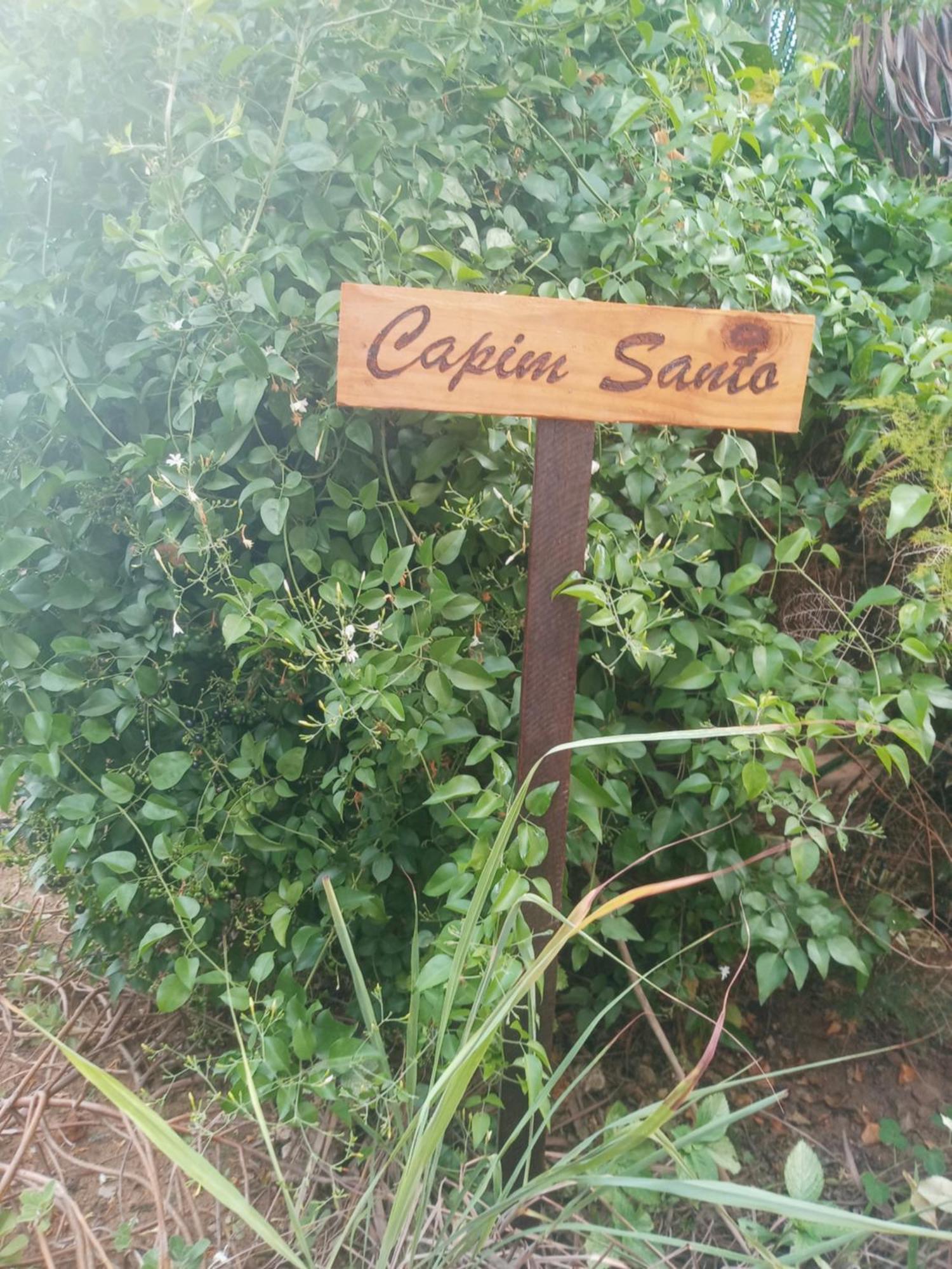 Zen Villas - Chales, Bem-Estar E Conexao Com A Natureza لورو دي فريتاس المظهر الخارجي الصورة
